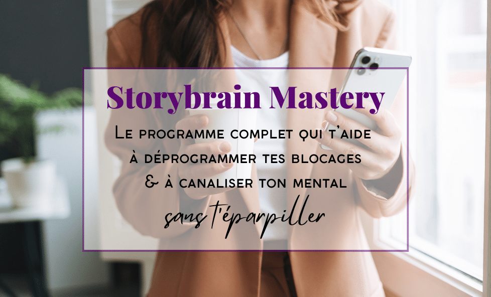 PROGRAMME STORYBRAIN MASTERY